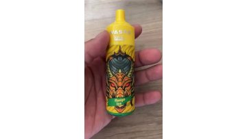Waspe 12000 Puffs Kit