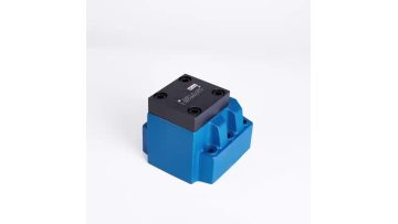 S30P check valve