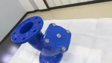 Water Y Strainer for Pipeline1