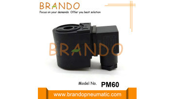 PM-60