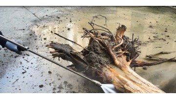 High Pressure Water for Bark Removal