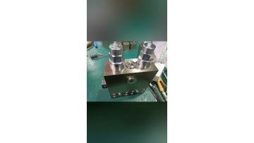plug in manifold blocks
