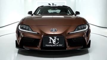 PL284-P Latte Mousse Car Wrap