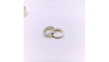 Ring type bonded NdFeB magnets