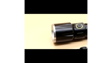 2021 Portable UV flashlight night search flashlight detection pet black light 365 UV LED flashlight Detector UV Light1