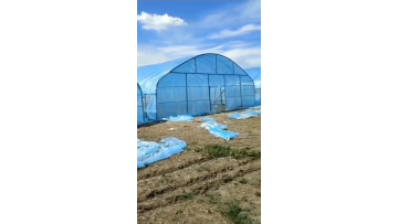 Greenhouse frame cheap greenhouse design single span arched greenhouses for strawberry1