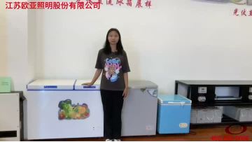 solar refrigerator with solar panel
