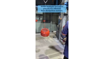 Video 7