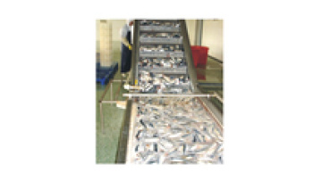 Over 10 years experience automatic flavoured sardine production line price of canned fish processing machinery1
