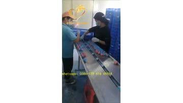 automatic wrapping machine
