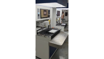 Vision Dispensing Machine