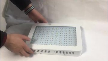 1000W仿流明视频.mp4
