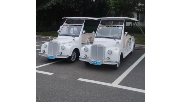 the Golf Cart Club purchased electric classic cars