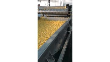 IQF corn kernels