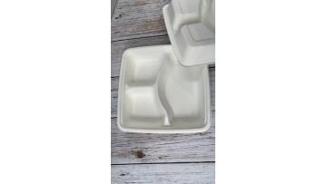 sugarcane 9 inches tray