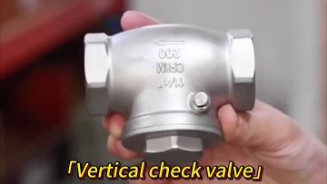Stainless Steel Threaded Check Valve