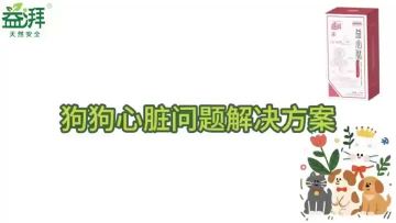 Cardiac System Supplements for Pets dog