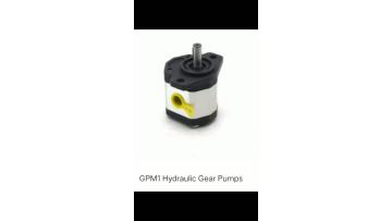 GPM2FC004FT06 Hydraulic gear pumps