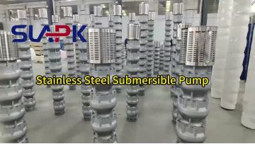 Stainless Steel Submersible Pump Seawater Borehole Pump