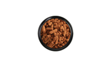 Iron Oxide Desulfurization Pellets1