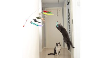 Cat Toys Kitten Toys 