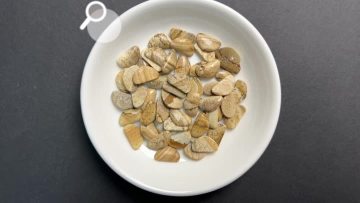 Picture Jasper QF-0199