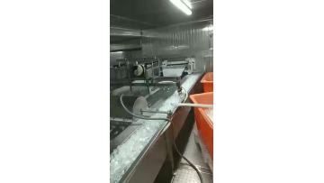 shrimp meat glazing