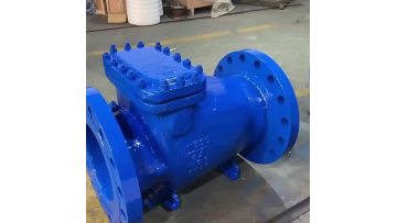 slow closing silencing check valve