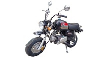 Mini Moto & Pit Bikes: 70CC to 125CC Engines1