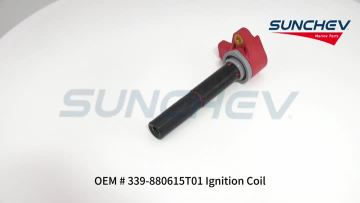339-880615T01 Ignition Coil