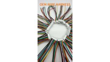 Professional custom wiring harness