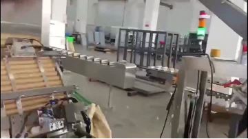 JN-180B Automatic Cartoning Machine