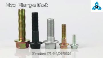 HEX FLANGE BOLT.mp4
