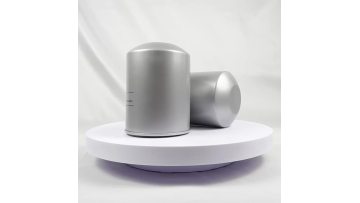 Oil Filter Replacement 2096076211