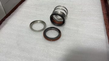 Mechanical Seal