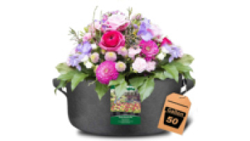 Customized 50 Gallon Grow Bag Plant Grow Bags Fabric Garden Pots1