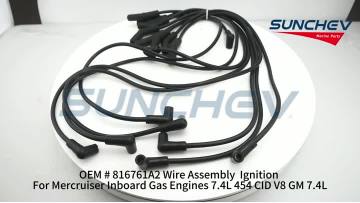 816761A2 Wire Assembly  Ignition