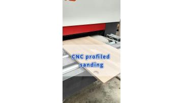 SDS13-Sanding unfinished solid wood door panels