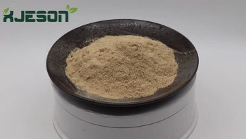 Pleurotus Eryngii Extract Powder 