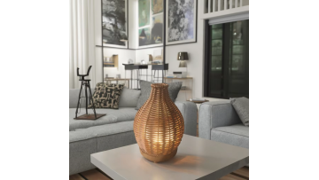 DT-2520 portable essential diffuser
