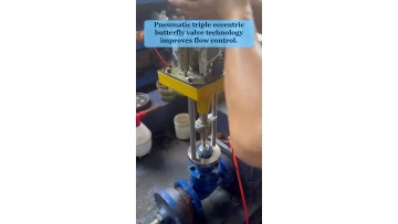 Video 19