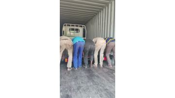 The Delivery-to-Usage Process of JMC Light Trucks 2