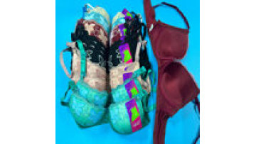 Dollar Model CG112 Wholesale Lace Push-Up Bras in Various Colors1