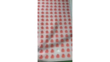 OEM/ODM Vegan Boost Energy and Digestive Chlorophyll Gummies Antioxidant Chlorophyll Gummies1