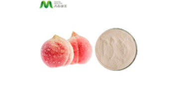Hot Selling Product Peach Fruit Juice Powder1