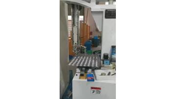6.mp4