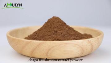 chaga mushroom extract powder