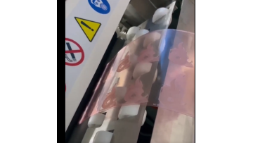 Flexographic cleaning machine