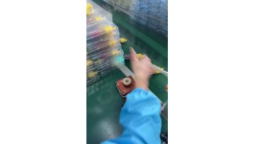 uwin randm tornado beat 35K (7)