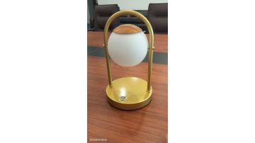 Rechargeable desk lamp with rotatable lampshade